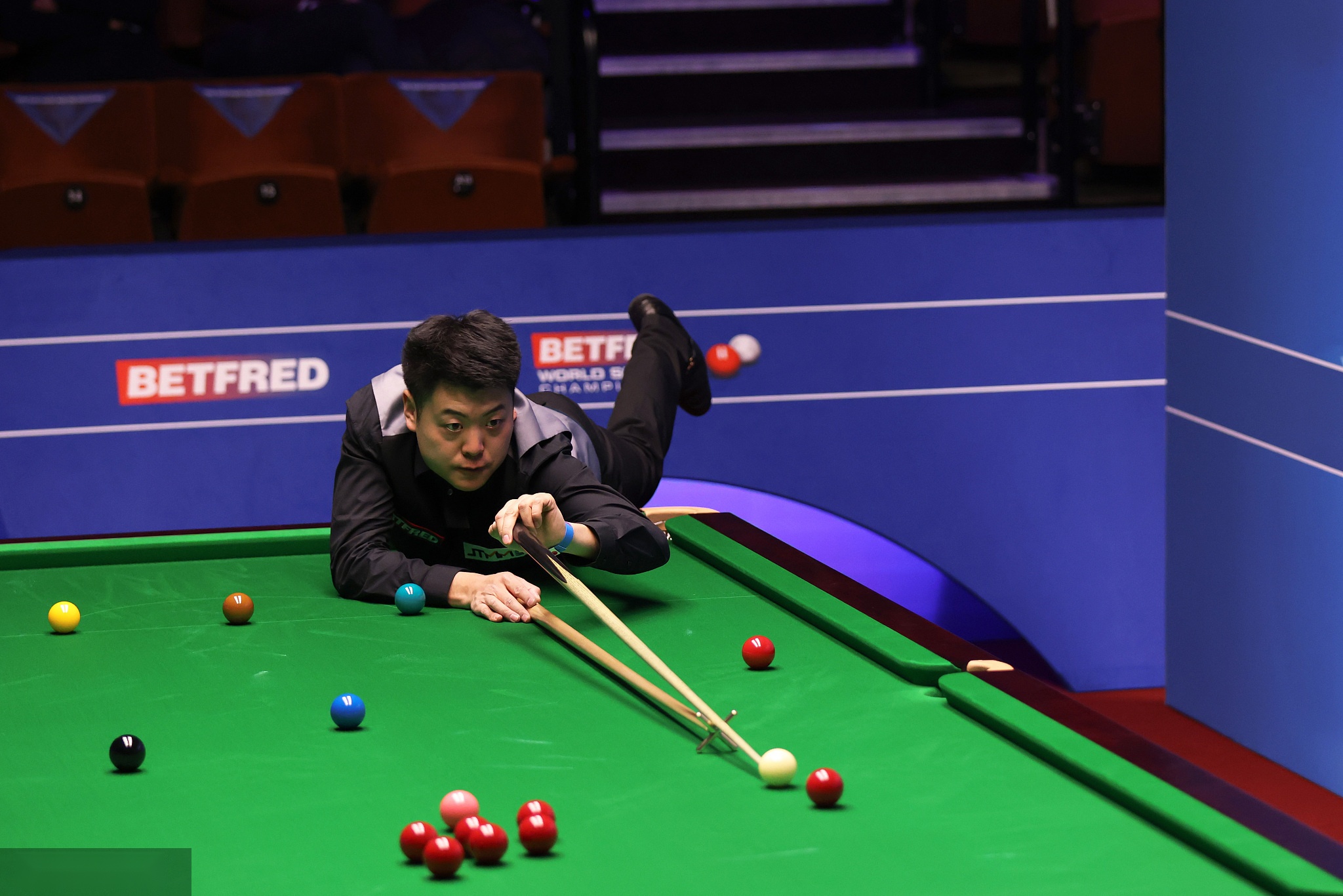 拉菲尼亚显 拉菲尼亚显